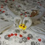 Clausis B&B 파르겔리아