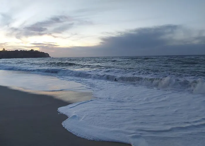 Clausis 4* パルゲリーア